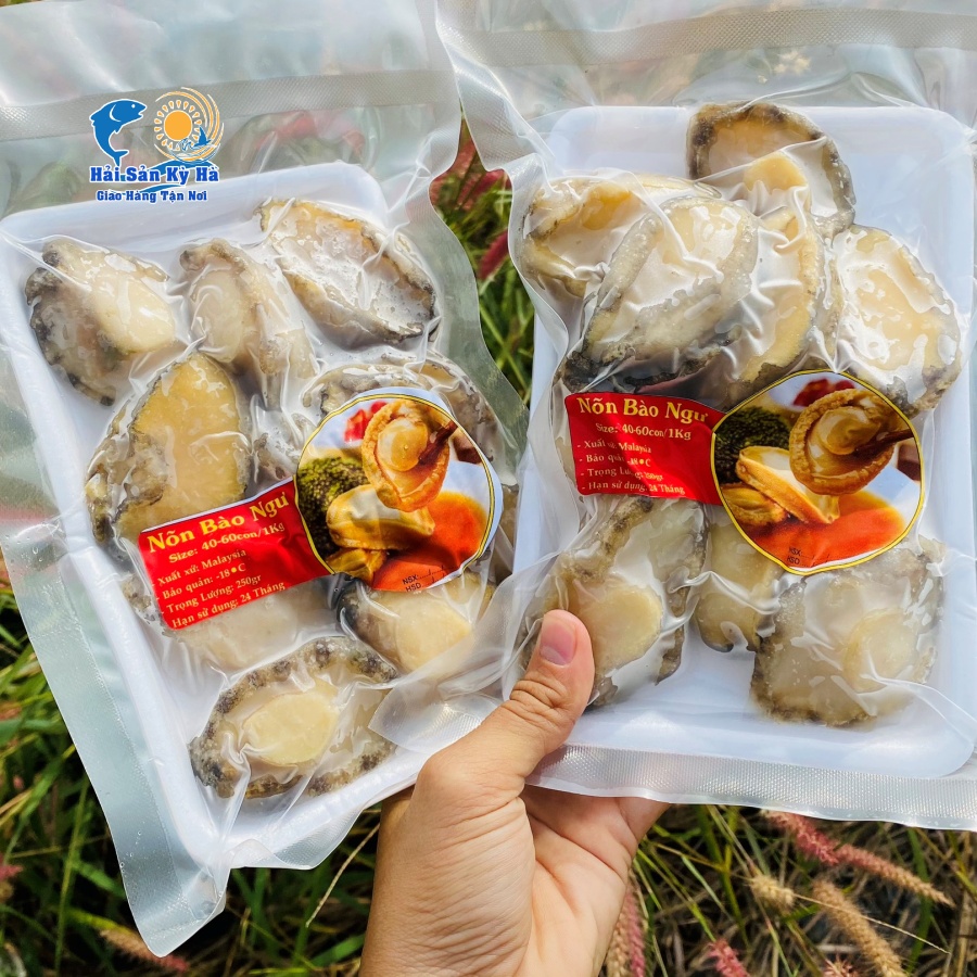 Giá 1Kg Bào Ngư Bao Nhiêu Tiền