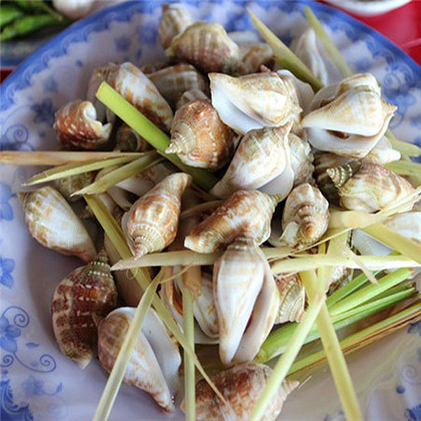 Nơi Bán Ốc Nhảy Giá Rẻ