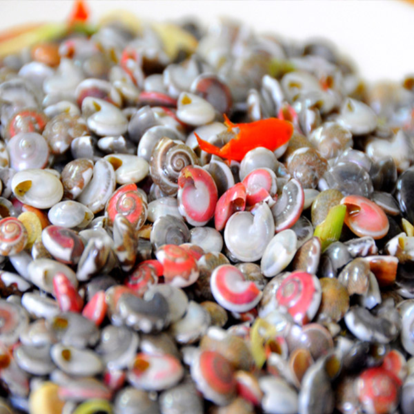 Mua Ốc Ruốc Giá Rẻ