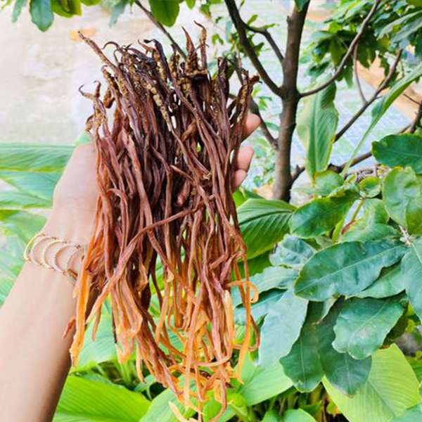 Dinh dưỡng từ râu mực khô