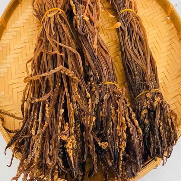 ở đâu bán râu mực khô uy tín