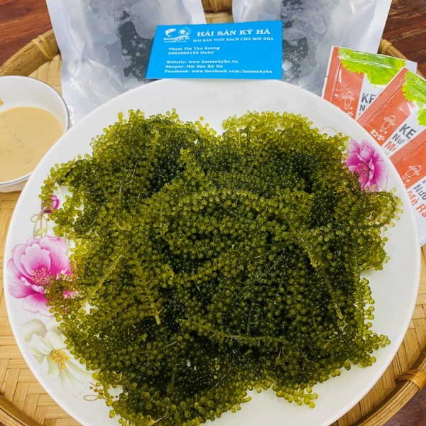 Rong Nho Thuốc Tiên Của Nhân Loại