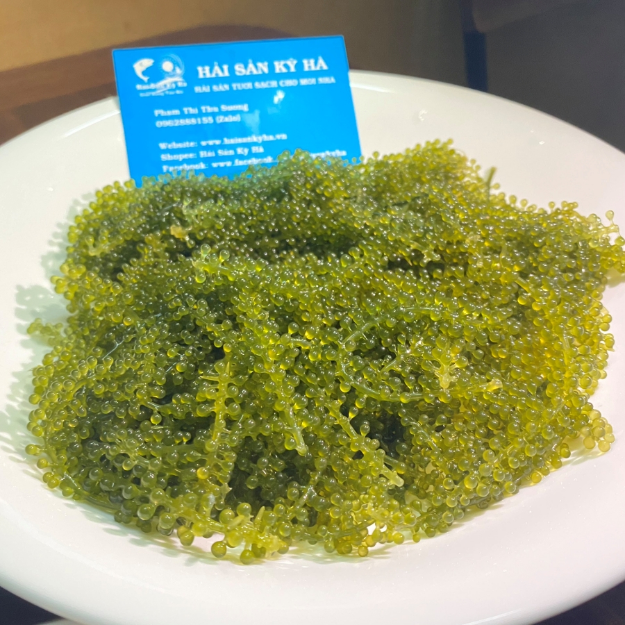 Mua Rong Nho Tươi Giá Rẻ