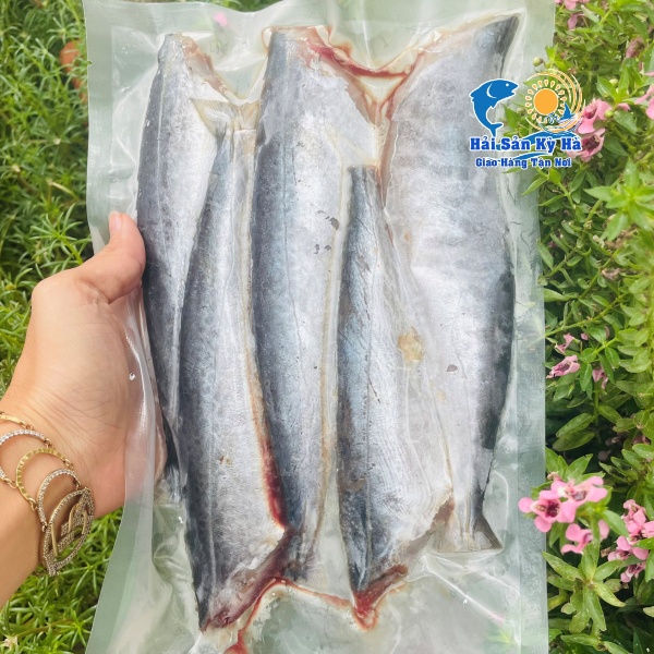 Cung Cấp Cá Thu Ảo 1 Nắng