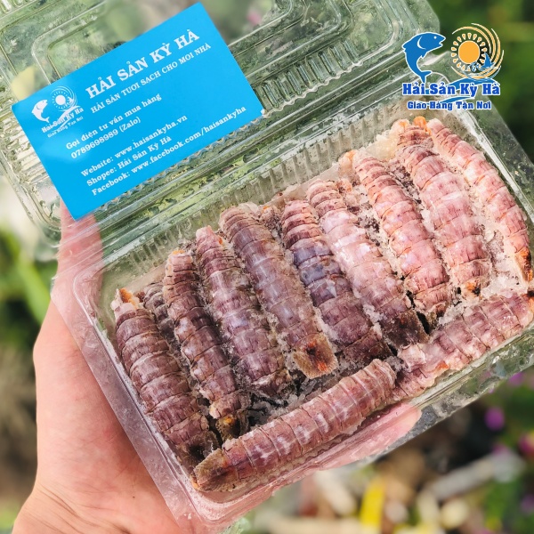 Mua Thịt Tôm Tít Gạch Giá Rẻ