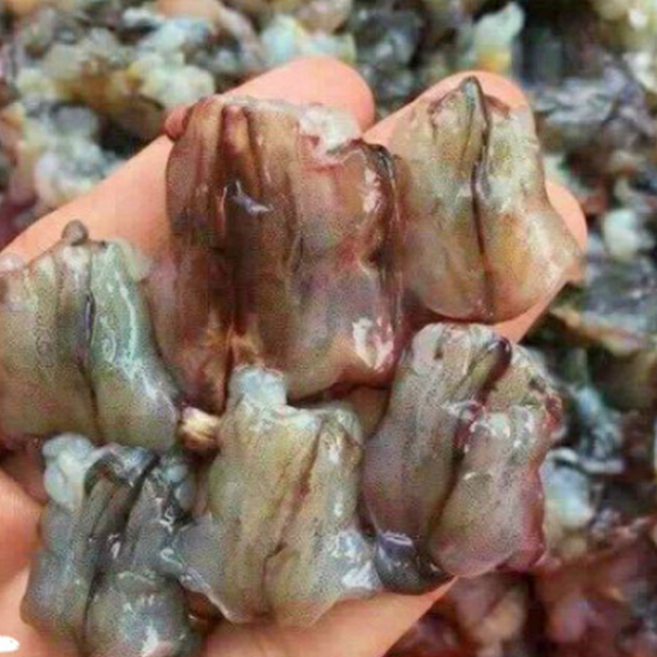 Mua Thịt Đầu Tôm Sú Ở Đâu