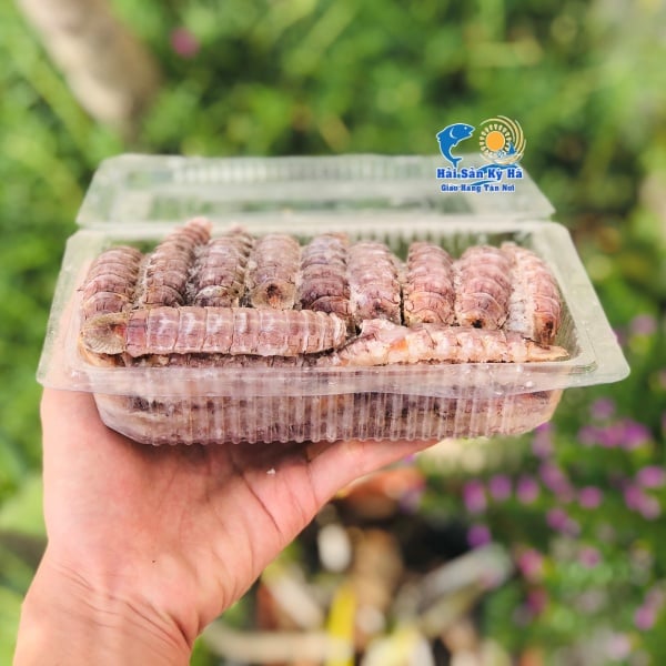 Sỉ - Lẻ Tôm Tít Gạch