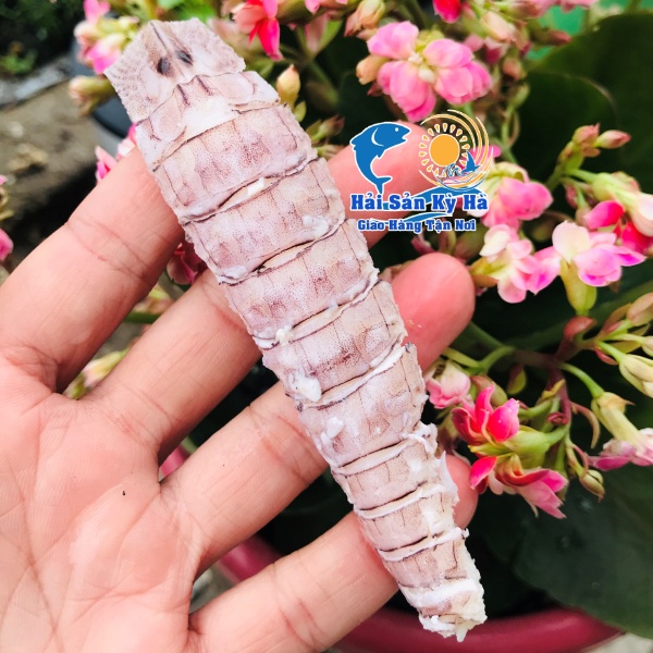 Mua Thịt Tôm Tít