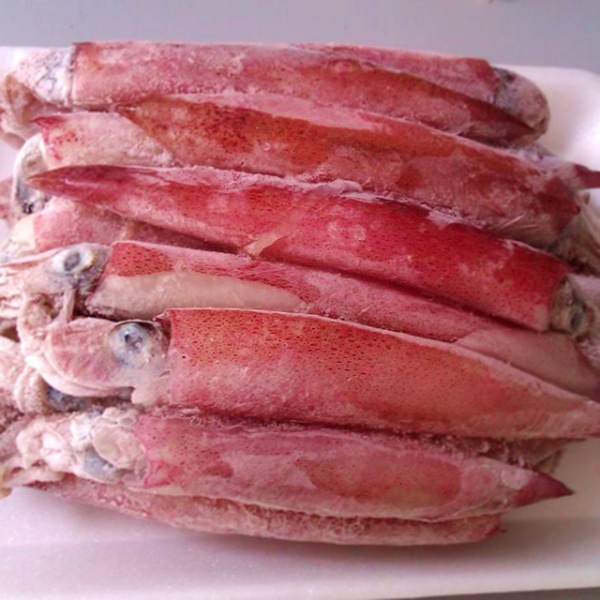 Mua Mực Trong Mùa Dịch Covid