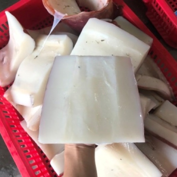 Dinh Dưỡng Trong Mực Lá Đại Dương