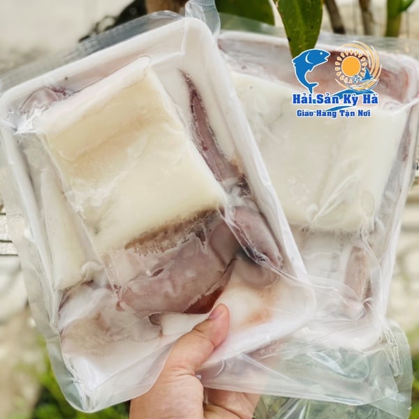 Sỉ Lẻ Mực Lá Đại Dương