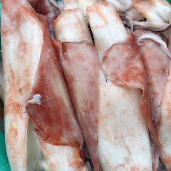 Mực Lá Nguồn Hải Sản Dồi Dào