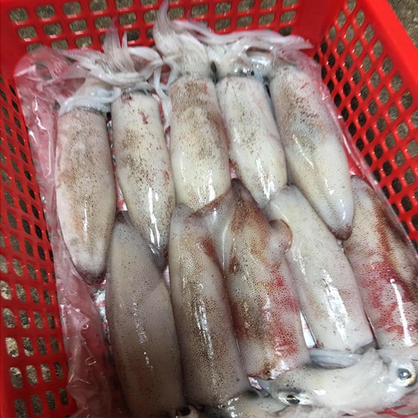 Cách Làm Mực Nhồi Thịt Rim Nước Dừa - Đặc Sản Quê Tôi