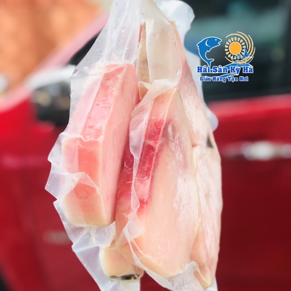 Nơi Bán Phi Le Cá Cờ Kiếm