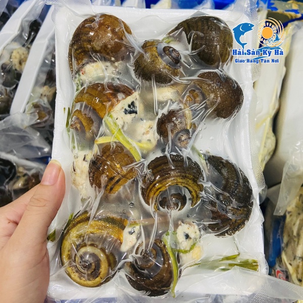 Mua Sỉ ỐC Bươu Nhồi Thịt