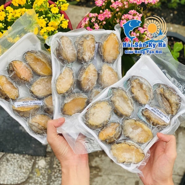 Nơi Bán Bào Ngư Giá Rẻ