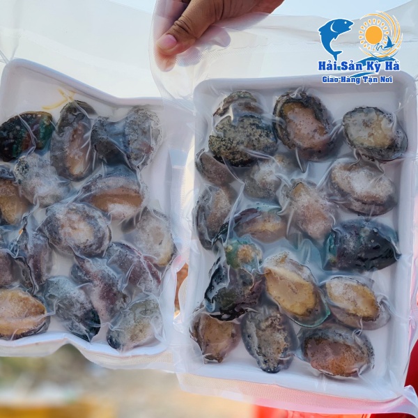 Bào Ngư Ở Đâu Bán Ngon