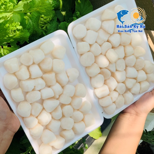 Giá 1Kg Cồi Điệp Nhật Bản