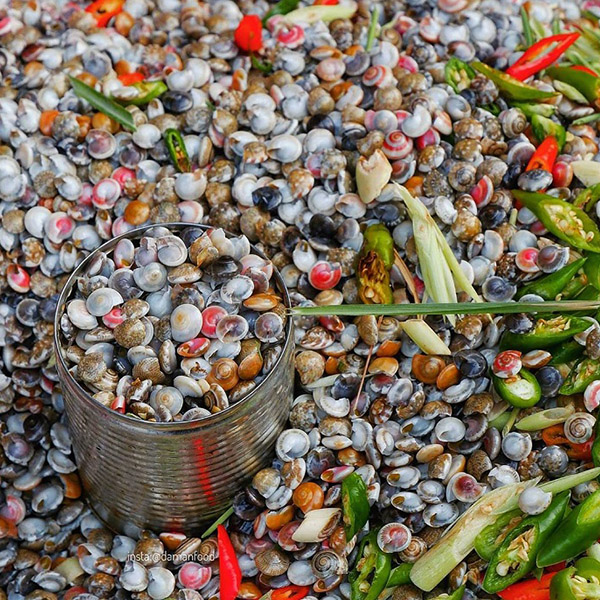 Tiết Lộ Cách Nấu Ốc Ruốc Siêu Ngon Tam Hải