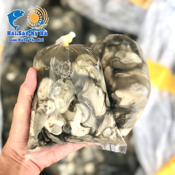 Địa Chỉ Mua Sỉ Ruột Hàu Sữa Pháp