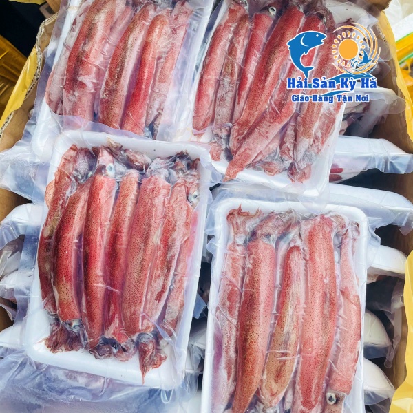 Giá Trị Dinh Dưỡng Của Mực Ghim Trứng