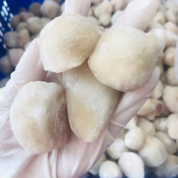 Sỉ - Lẻ Răng Mực