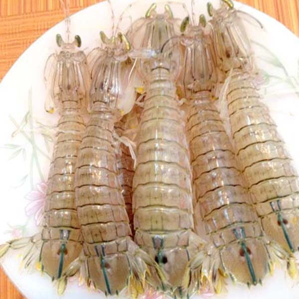 Thịt Tôm Tít Giá Rẻ Bất Ngờ Cho Những Anh Chị Thích Hải Sản