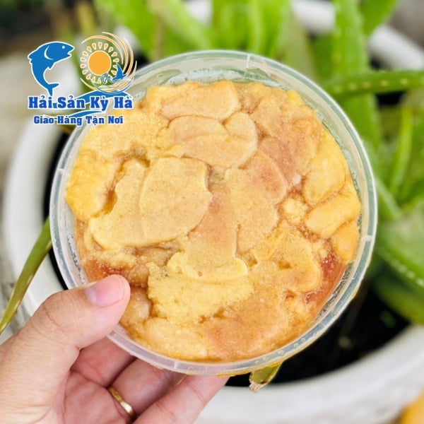 Nơi Cung Cấp Trứng Cá Sặc