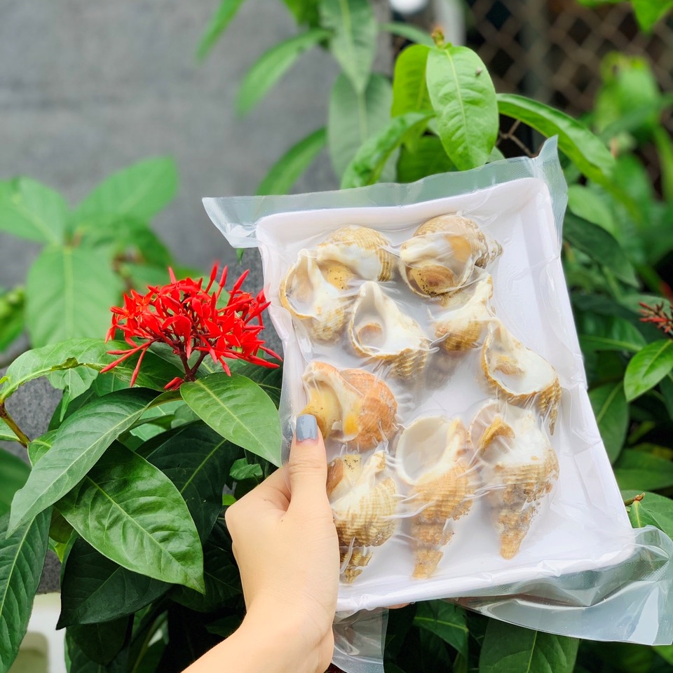 Ở Đâu Bán Ốc Bullot