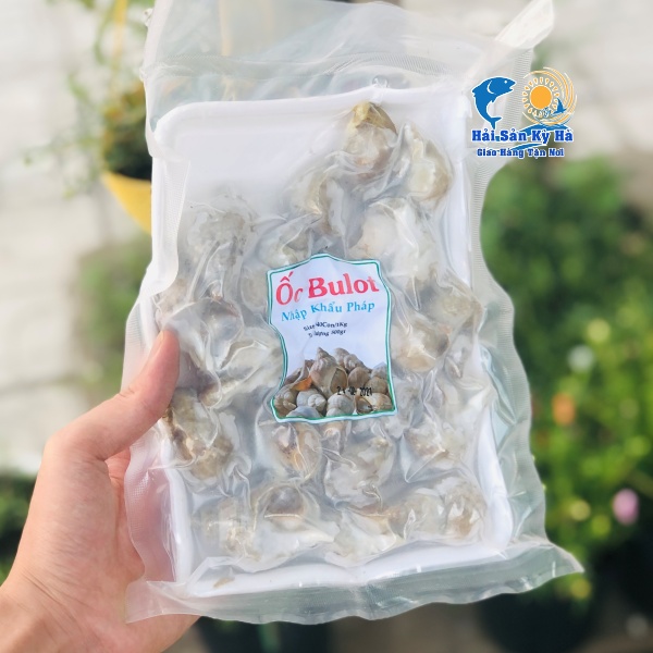 Ở Đâu Bán Ốc Bulot Pháp