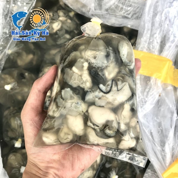 Sỉ - Lẻ Ruột Hàu Sữa