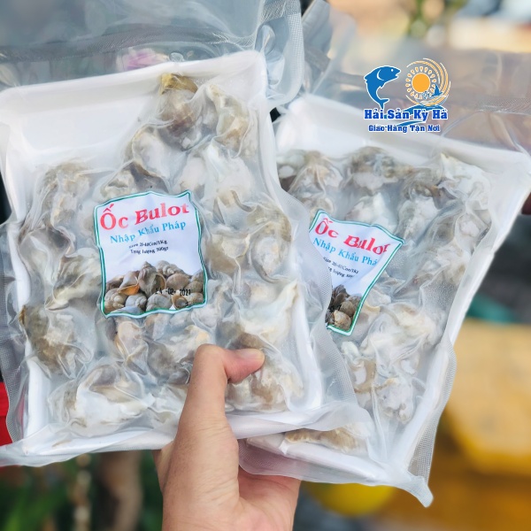 Nơi Bán Ốc Bulot Pháp