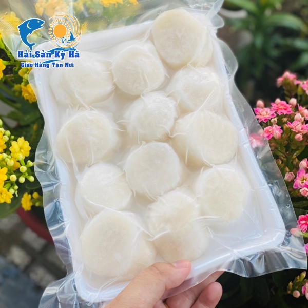 Nơi Mua Cồi Điệp Nhật Bản