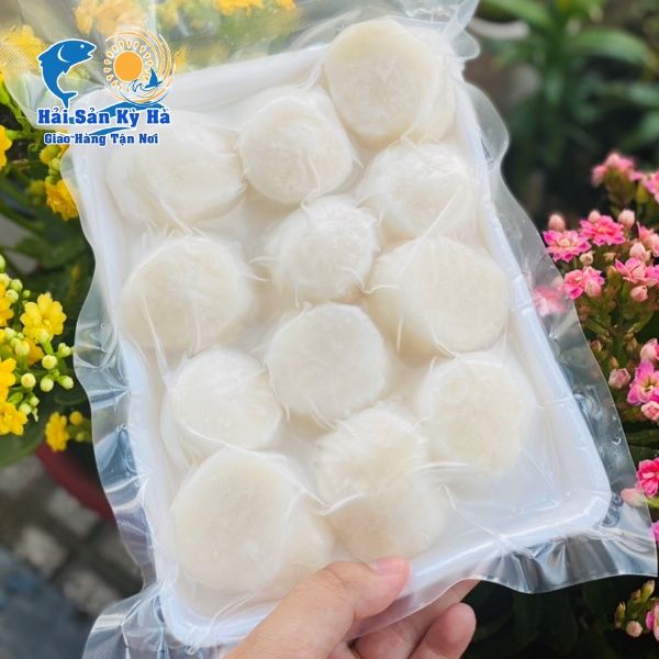 Nơi Mua Cồi Điệp Nhật Bản