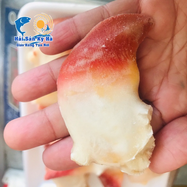 Địa Chỉ Mua Sò Đỏ Nhật Bản