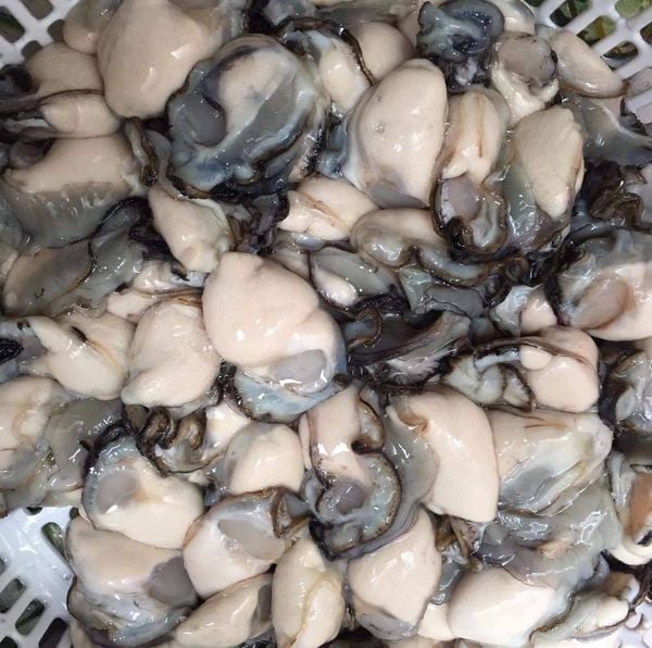 Công Dụng Tuyệt Vời Của Ruột Hàu Sữa