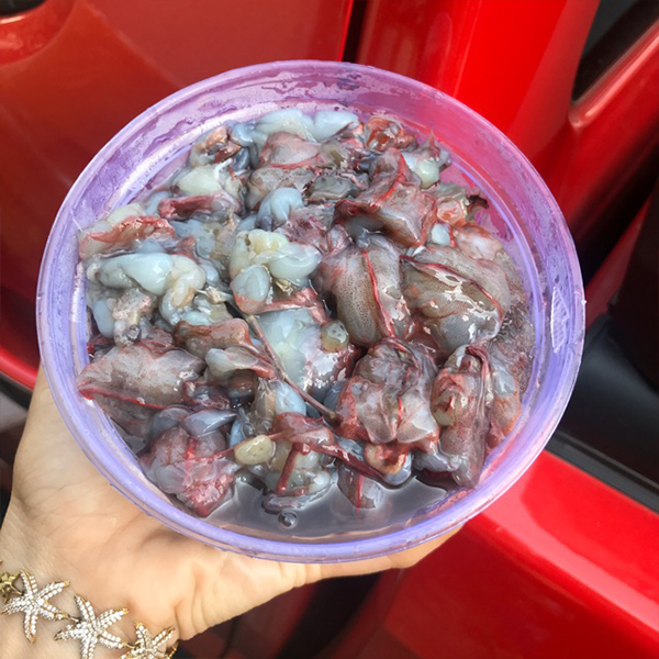 Thịt Đầu Tôm Sú Giá Rẻ