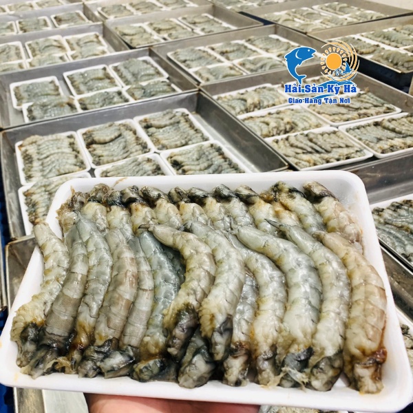 Dinh Dưỡng Từ Thịt Tôm Thẻ