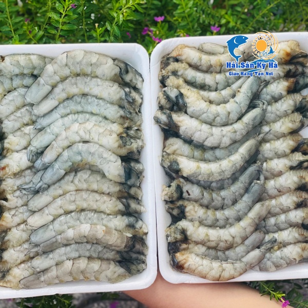 Mua Sỉ Thịt Tôm Thẻ