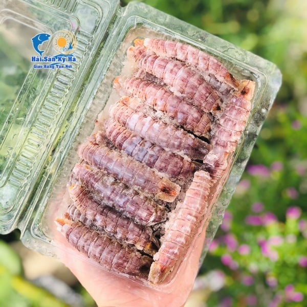 Mua Tôm Tít Gạch