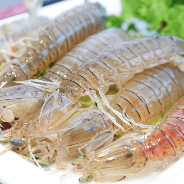 dinh dưỡng từ tôm tít