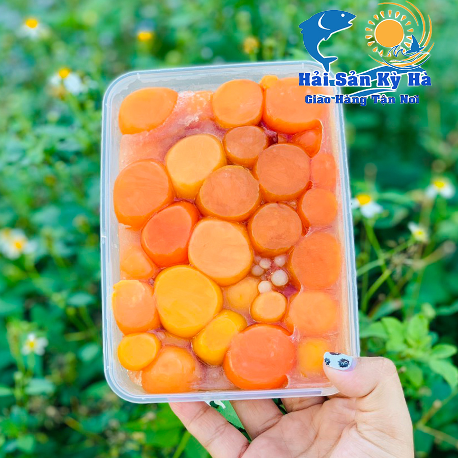 Phân Phối Khách Sỉ