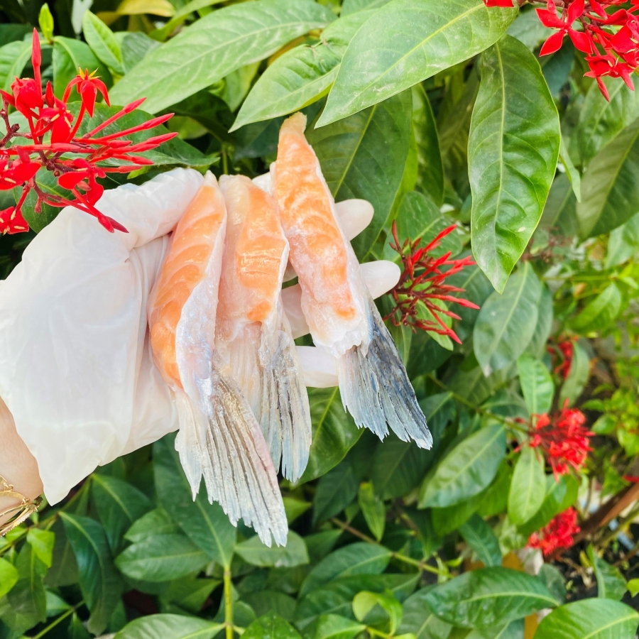 Địa Chỉ Mua Vây Cá Hồi Na Uy