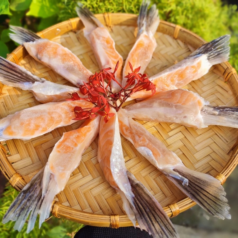 Lợi Ích Dinh Dưỡng Khi Mua Vây Cá Hồi