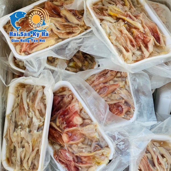 Địa Chỉ Mua Sỉ Bao Tử Cá Chẽm