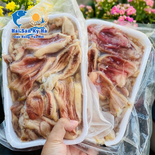 Sỉ - Lẻ Bao Tử Cá Chẽm