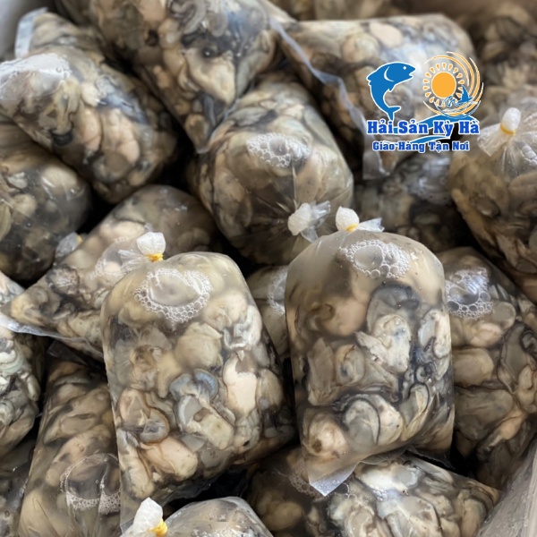 Ở Đâu Bán Hàu Sữa