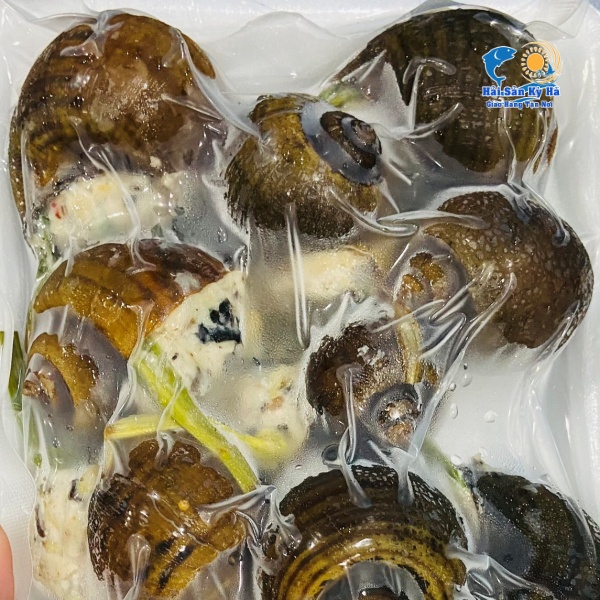 Dinh Dưỡng Từ Ốc Bươu Nhồi Thịt