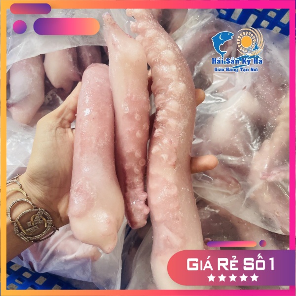 Râu Bạch Tuộc Đỏ