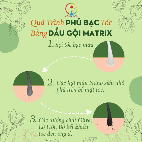 QUÁ TRÌNH PHỦ BẠC TÓC BẰNG DẦU GỘI MATRIX